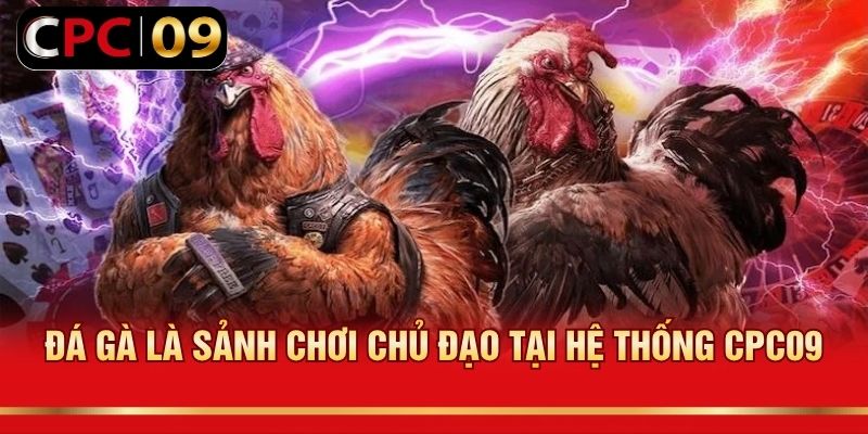 Đá gà là sảnh chơi chủ đạo tại hệ thống CPC09